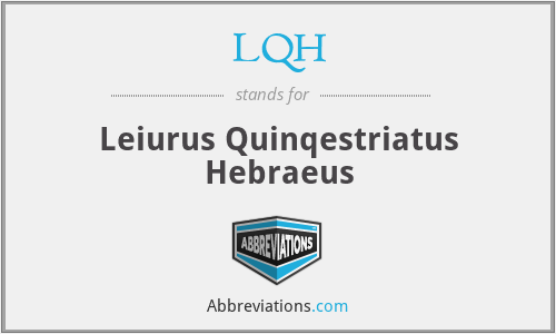 LQH - Leiurus Quinqestriatus Hebraeus