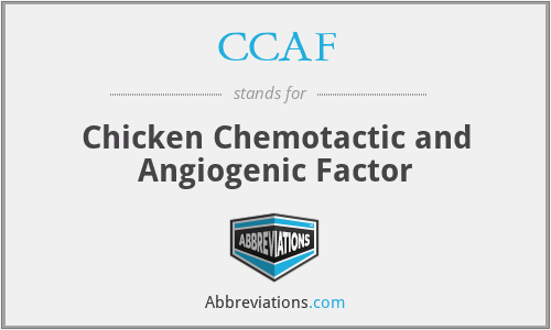 CCAF - Chicken Chemotactic and Angiogenic Factor