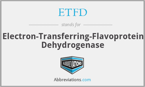 ETFD - Electron-Transferring-Flavoprotein Dehydrogenase