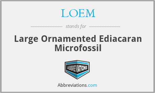 LOEM - Large Ornamented Ediacaran Microfossil