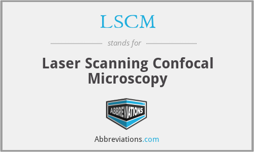 LSCM - Laser Scanning Confocal Microscopy