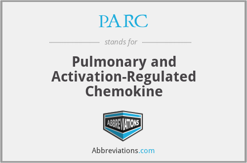 PARC - Pulmonary and Activation-Regulated Chemokine
