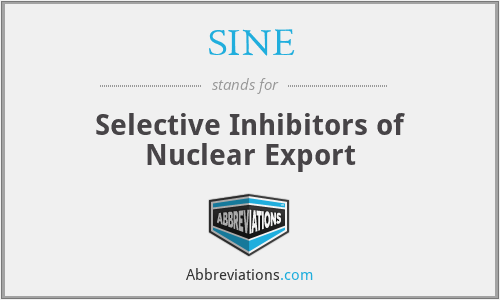 SINE - Selective Inhibitors of Nuclear Export