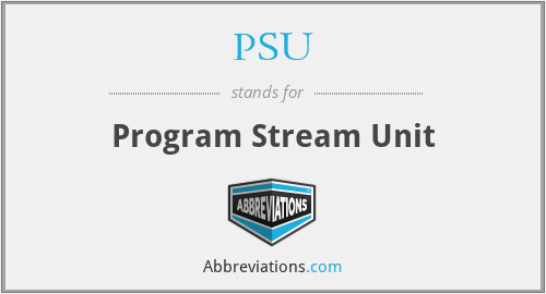 PSU - Program Stream Unit