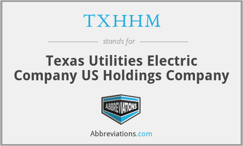 TXHHM - Texas Utilities Electric Company US Holdings Company