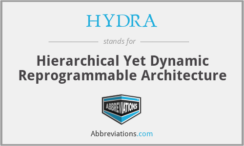 HYDRA - Hierarchical Yet Dynamic Reprogrammable Architecture