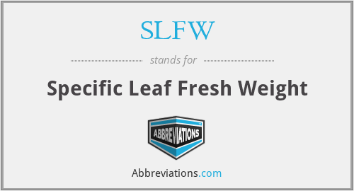 SLFW - Specific Leaf Fresh Weight