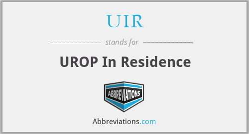 UIR - UROP In Residence