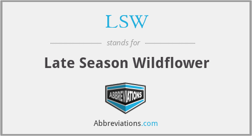 LSW - Late Season Wildflower