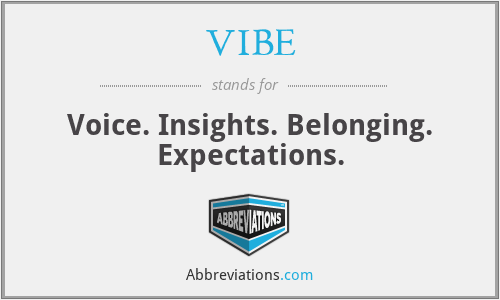 VIBE - Voice. Insights. Belonging. Expectations.