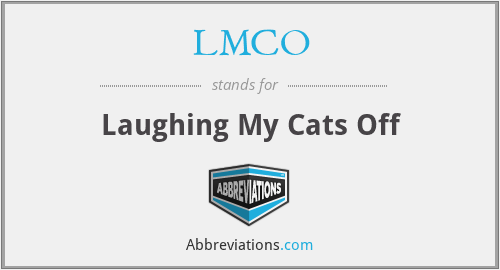LMCO - Laughing My Cats Off