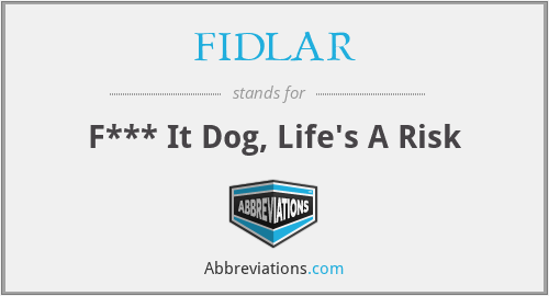 FIDLAR - F*** It Dog, Life's A Risk