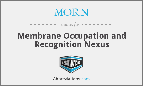 MORN - Membrane Occupation and Recognition Nexus