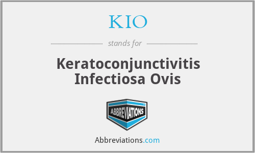 KIO - Keratoconjunctivitis Infectiosa Ovis