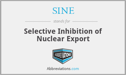 SINE - Selective Inhibition of Nuclear Export