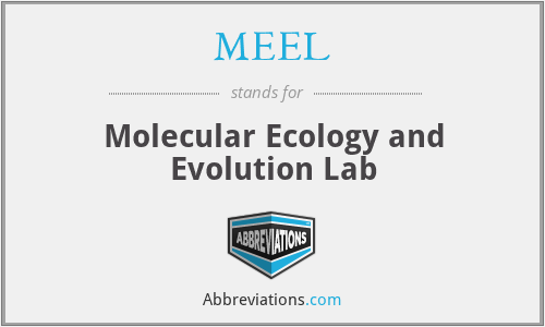 MEEL - Molecular Ecology and Evolution Lab