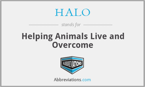 HALO - Helping Animals Live and Overcome
