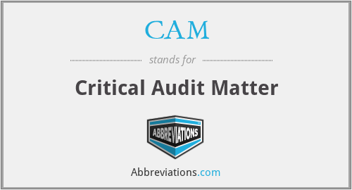 CAM - Critical Audit Matter