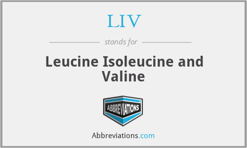 LIV - Leucine Isoleucine and Valine