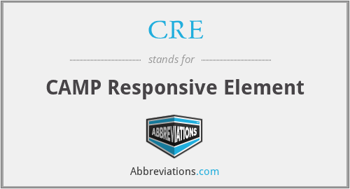 CRE - CAMP Responsive Element
