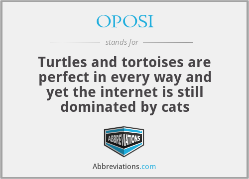 OPOSI - Turtles and tortoises are perfect in every way and yet the internet is still dominated by cats
