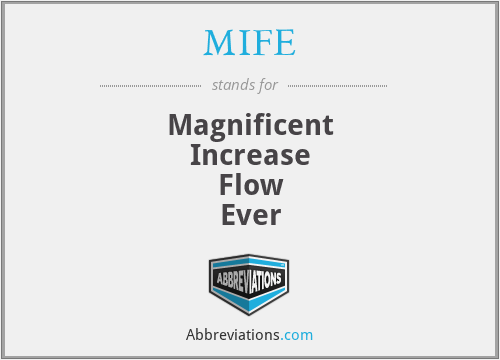 MIFE - Magnificent
Increase
Flow
Ever