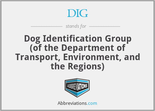 DIG - Dog Identification Group (of the Department of Transport, Environment, and the Regions)