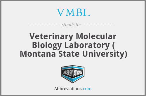 VMBL - Veterinary Molecular Biology Laboratory ( Montana State University)