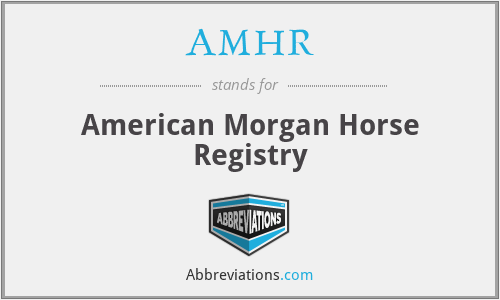 AMHR - American Morgan Horse Registry