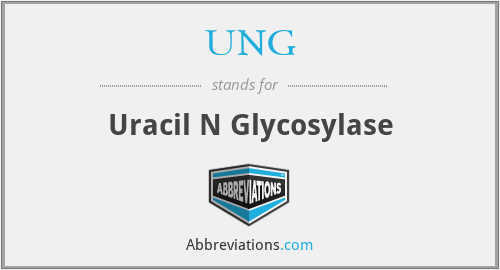 UNG - Uracil N Glycosylase