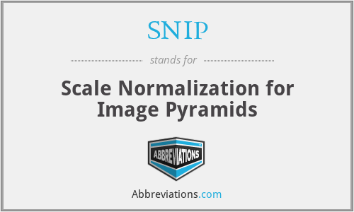 SNIP - Scale Normalization for Image Pyramids