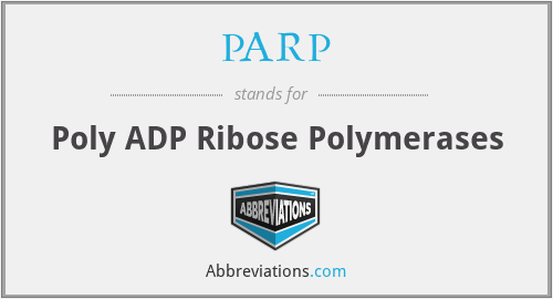 PARP - Poly ADP Ribose Polymerases