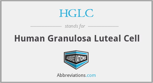 HGLC - Human Granulosa Luteal Cell