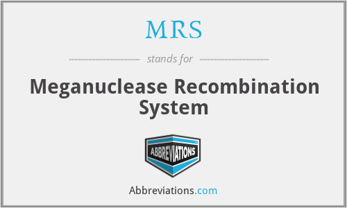 MRS - Meganuclease Recombination System