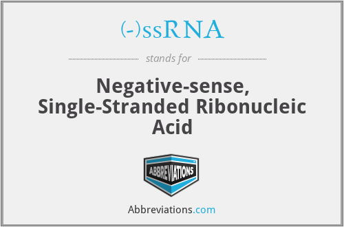 (-)ssRNA - Negative-sense, Single-Stranded Ribonucleic Acid