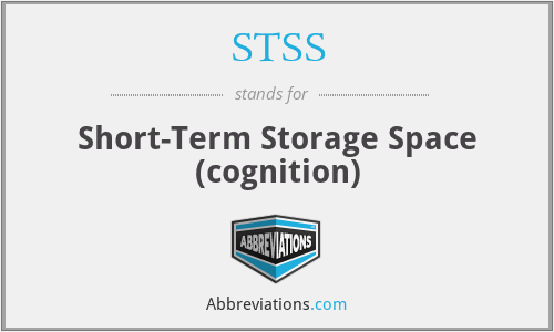 STSS - Short-Term Storage Space (cognition)