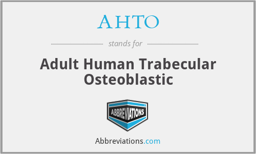 AHTO - Adult Human Trabecular Osteoblastic