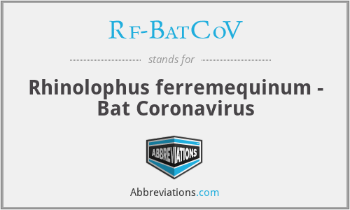 Rf-BatCoV - Rhinolophus ferremequinum - Bat Coronavirus