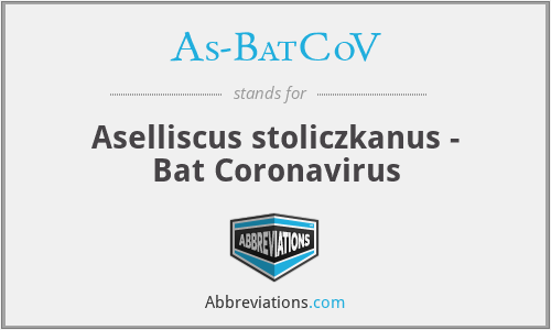 As-BatCoV - Aselliscus stoliczkanus - Bat Coronavirus