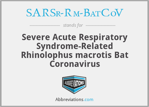 SARSr-Rm-BatCoV - Severe Acute Respiratory Syndrome-Related Rhinolophus macrotis Bat Coronavirus