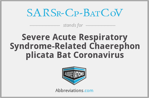 SARSr-Cp-BatCoV - Severe Acute Respiratory Syndrome-Related Chaerephon plicata Bat Coronavirus