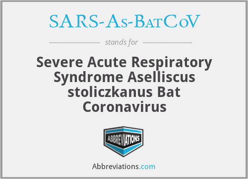 SARS-As-BatCoV - Severe Acute Respiratory Syndrome Aselliscus stoliczkanus Bat Coronavirus