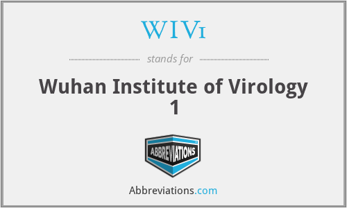WIV1 - Wuhan Institute of Virology 1