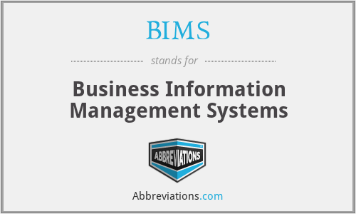 BIMS - Business Information Management Systems