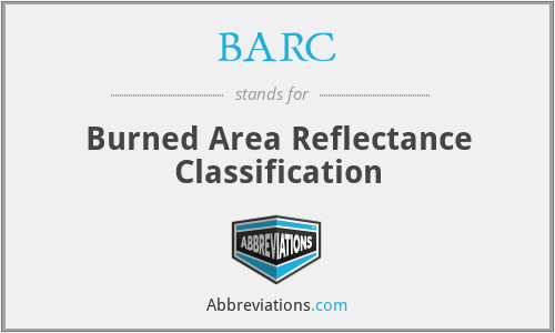 BARC - Burned Area Reflectance Classification