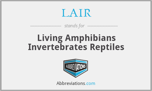 LAIR - Living Amphibians Invertebrates Reptiles