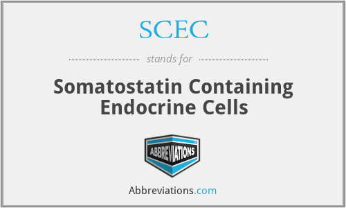 SCEC - Somatostatin Containing Endocrine Cells