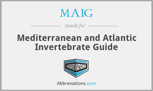 MAIG - Mediterranean and Atlantic Invertebrate Guide