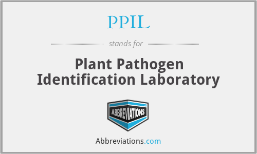 PPIL - Plant Pathogen Identification Laboratory