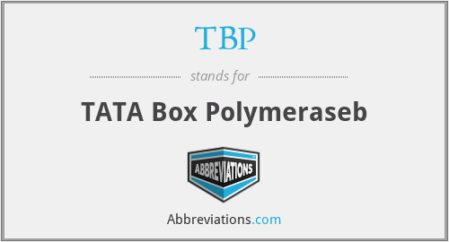 TBP - TATA Box Polymeraseb